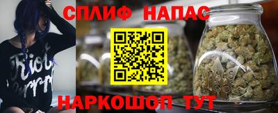 прущие грибы Славгород