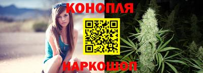 прущие грибы Славгород