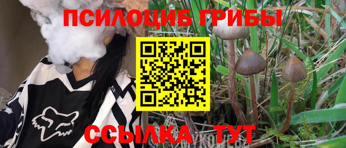Галлюциногенные грибы Magic Shrooms Партизанск
